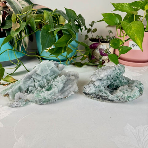 Clear - Out Sugar Fluorite 285 31 - Kenna's Crystals from TikTok