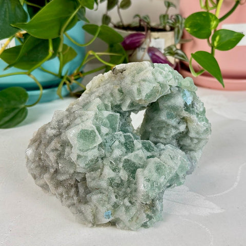 Clear - Out Sugar Fluorite 295 32 - Kenna's Crystals from TikTok