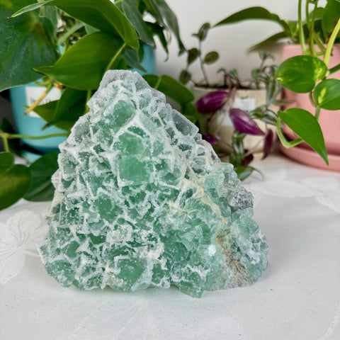 Clear - Out Sugar Fluorite 305 30 - Kenna's Crystals from TikTok