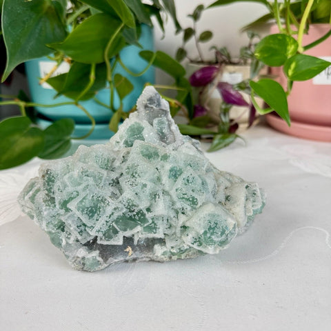 Clear - Out Sugar Fluorite 325 28 - Kenna's Crystals from TikTok