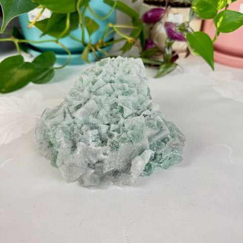 Clear - Out Sugar Fluorite 345 27 - Kenna's Crystals from TikTok