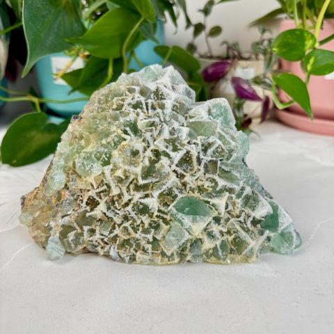 Clear - Out Sugar Fluorite 415 25 - Kenna's Crystals from TikTok