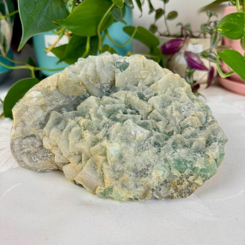 Clear - Out Sugar Fluorite 425 1 - Kenna's Crystals from TikTok