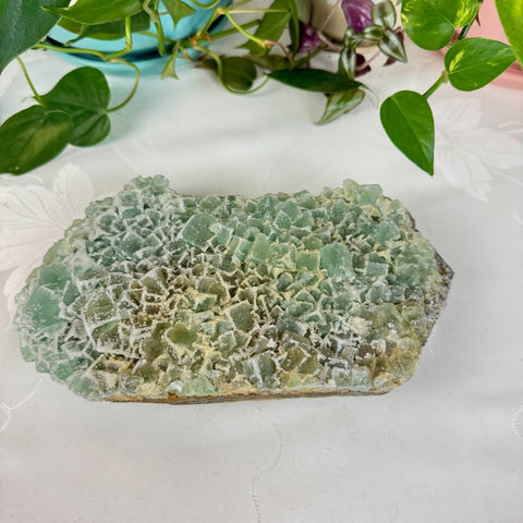 Clear - Out Sugar Fluorite 555 2 - Kenna's Crystals from TikTok