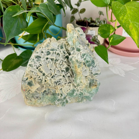 Clear - Out Sugar Fluorite 695 19 - Kenna's Crystals from TikTok