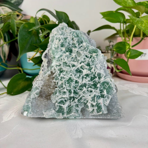 Clear - Out Sugar Fluorite 785 14 - Kenna's Crystals from TikTok