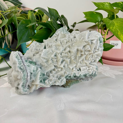 Clear - Out Sugar Fluorite 815 15 - Kenna's Crystals from TikTok