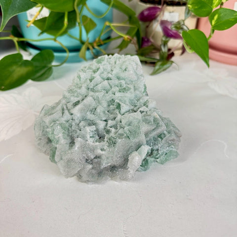 Clear - Out Sugar Fluorite 95 48 - Kenna's Crystals from TikTok