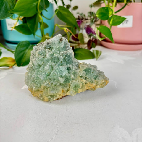 Clear - Out Sugar Fluorite 95 49 - Kenna's Crystals from TikTok