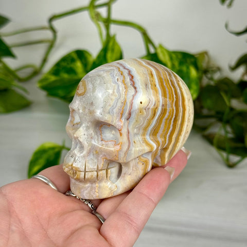 Crazy Lace Agate Skull C 4 - Kenna's Crystals from TikTok