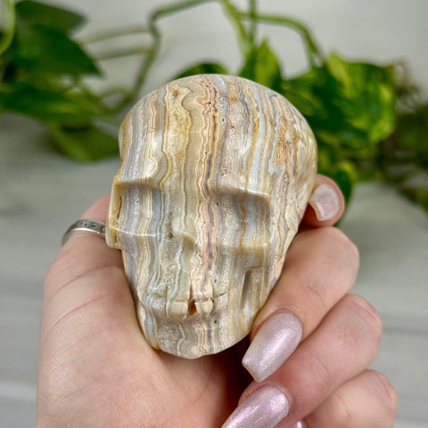 Crazy Lace Agate Skull E 6 - Kenna's Crystals from TikTok