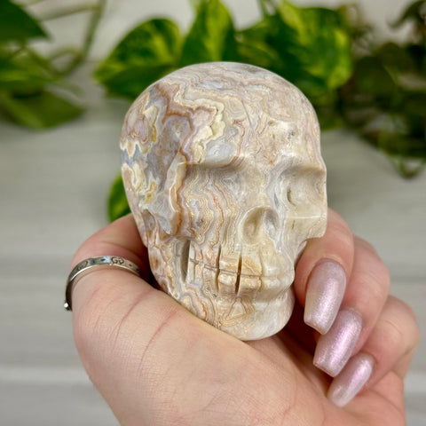 Crazy Lace Agate Skull F 7 - Kenna's Crystals from TikTok