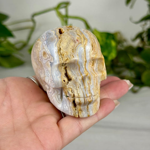 Crazy Lace Agate Skull K 1 - Kenna's Crystals from TikTok
