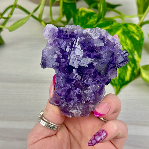 Cubic Purple Fluorite Specimen E 1 - Kenna's Crystals from TikTok