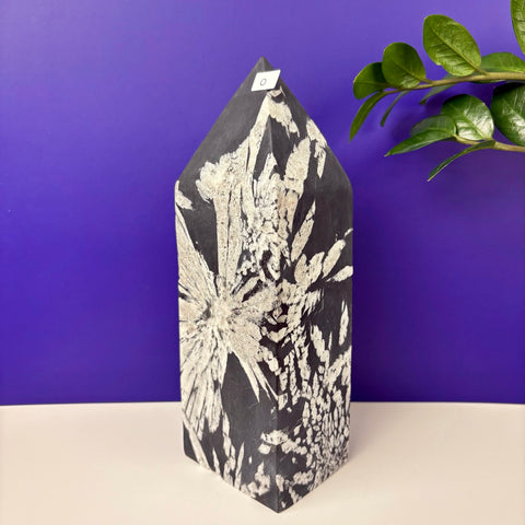 Cursed Chrysanthemum Tower - Kenna's Crystals