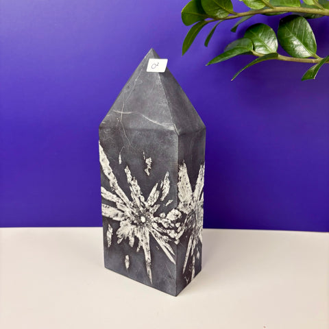 Cursed Chrysanthemum Tower - Kenna's Crystals