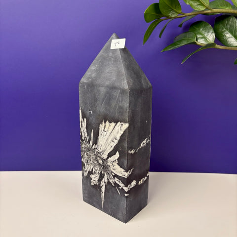 Cursed Chrysanthemum Tower - Kenna's Crystals