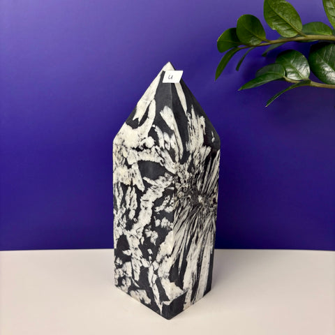 Cursed Chrysanthemum Tower - Kenna's Crystals