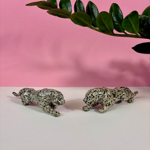 Dalmatian Jasper Leopard
