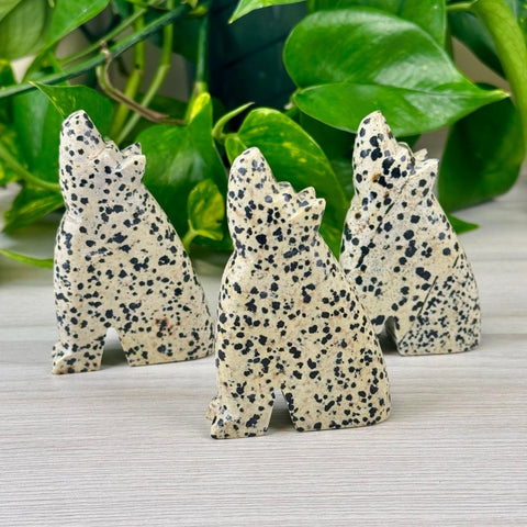 Dalmatian Jasper Wolf 1 - Kenna's Crystals from TikTok