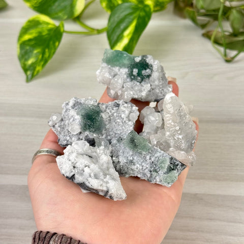 Deep Green Fluorite with Calcite Specimen 22 1 - Kenna's Crystals from TikTok