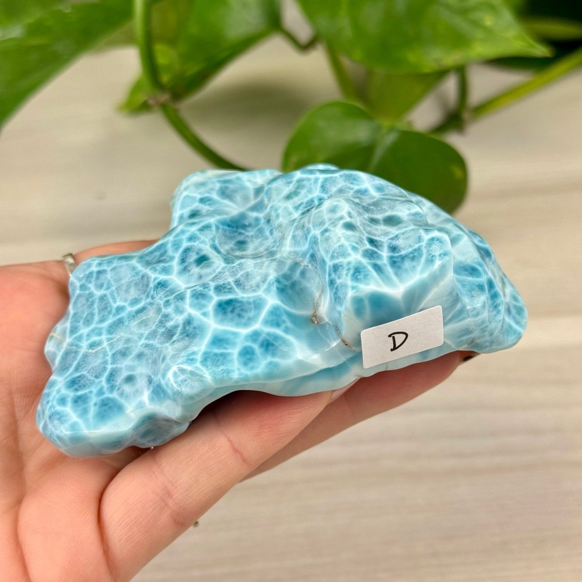 Deep Sea Larimar Free Form – Kenna's Crystals