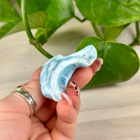 Deep Sea Larimar Free Form Q 68 - Kenna's Crystals from TikTok