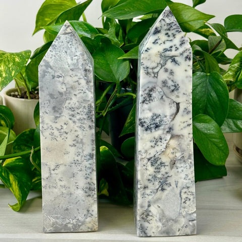 Dendritic Opal Tower 1 - Kenna's Crystals from TikTok