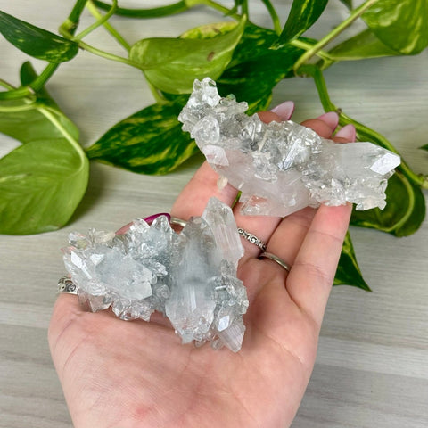 Diamond Apophyllite 111 9 - Kenna's Crystals from TikTok
