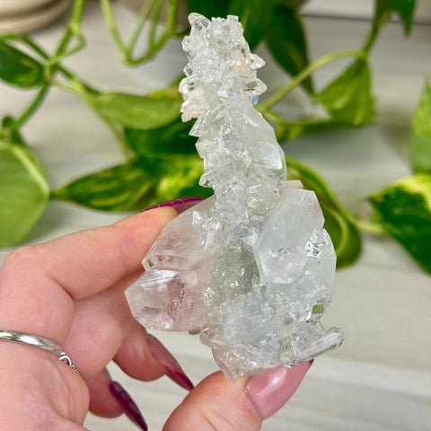 Diamond Apophyllite 122 10 - Kenna's Crystals from TikTok