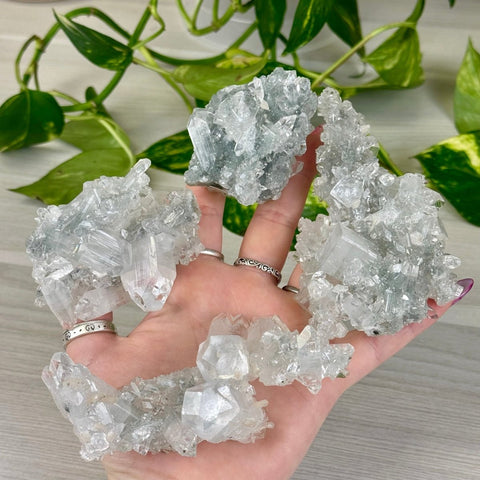 Diamond Apophyllite 155 11 - Kenna's Crystals from TikTok