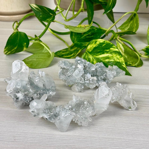 Diamond Apophyllite 177 13 - Kenna's Crystals from TikTok