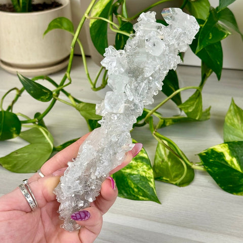 Diamond Apophyllite 211 17 - Kenna's Crystals from TikTok