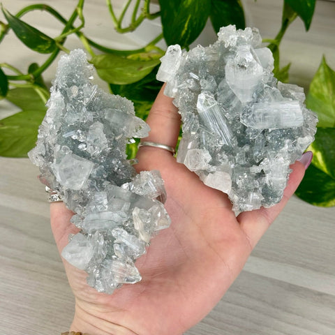 Diamond Apophyllite 266 1 - Kenna's Crystals from TikTok