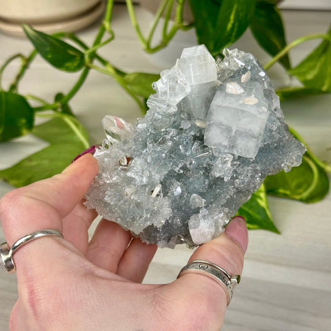 Diamond Apophyllite 277 18 - Kenna's Crystals from TikTok