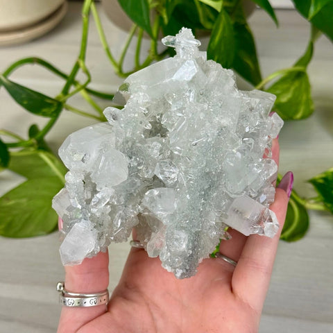 Diamond Apophyllite 433 20 - Kenna's Crystals from TikTok