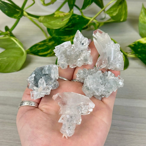 Diamond Apophyllite 44 4 - Kenna's Crystals from TikTok