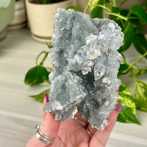 Diamond Apophyllite 444 21 - Kenna's Crystals from TikTok
