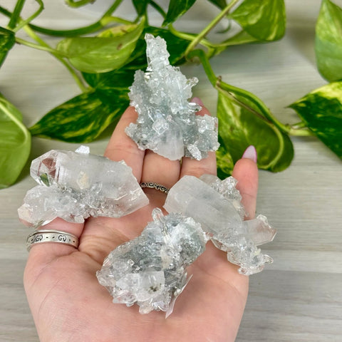 Diamond Apophyllite 55 5 - Kenna's Crystals from TikTok