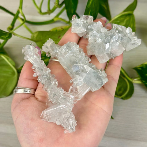 Diamond Apophyllite 66 6 - Kenna's Crystals from TikTok