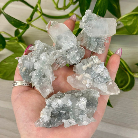 Diamond Apophyllite 77 6 - Kenna's Crystals from TikTok