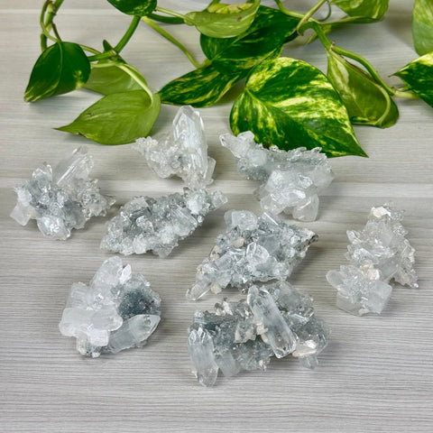 Diamond Apophyllite 88 8 - Kenna's Crystals from TikTok