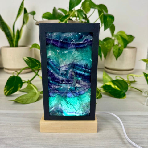 Dimmable Rainbow Fluorite Lantern Large - Green/Purple 6 - Kenna's Crystals from TikTok