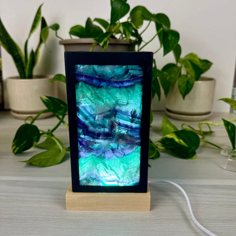 Dimmable Rainbow Fluorite Lantern Large - Green/Purple 5 - Kenna's Crystals from TikTok