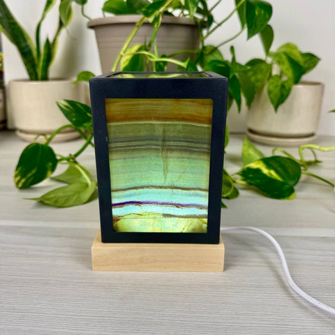 Dimmable Rainbow Fluorite Lantern Small - Green/Purple 3 - Kenna's Crystals from TikTok