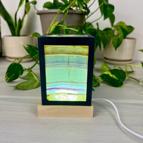 Dimmable Rainbow Fluorite Lantern Small - Yellow 4 - Kenna's Crystals from TikTok