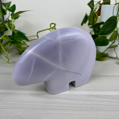 Dora The Bear 1 - Kenna's Crystals from TikTok