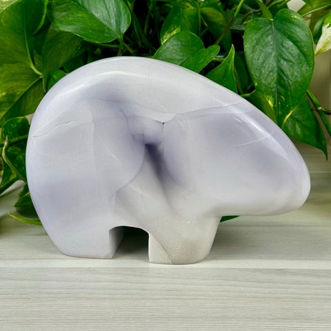 Drew The Bear, a smooth lavender fluorite carving, stands against green leaves.