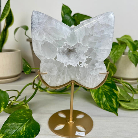 Druzy Agate Butterfly with Custom Stand A 1 - Kenna's Crystals from TikTok