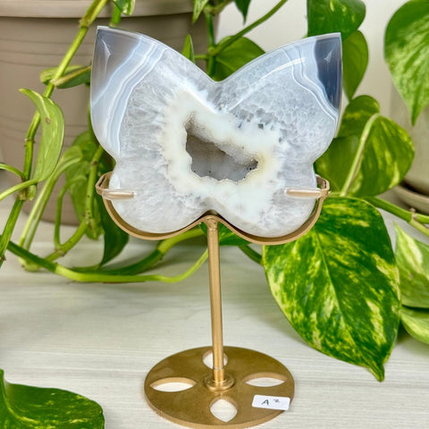 Druzy Agate Butterfly with Custom Stand A2 27 - Kenna's Crystals from TikTok